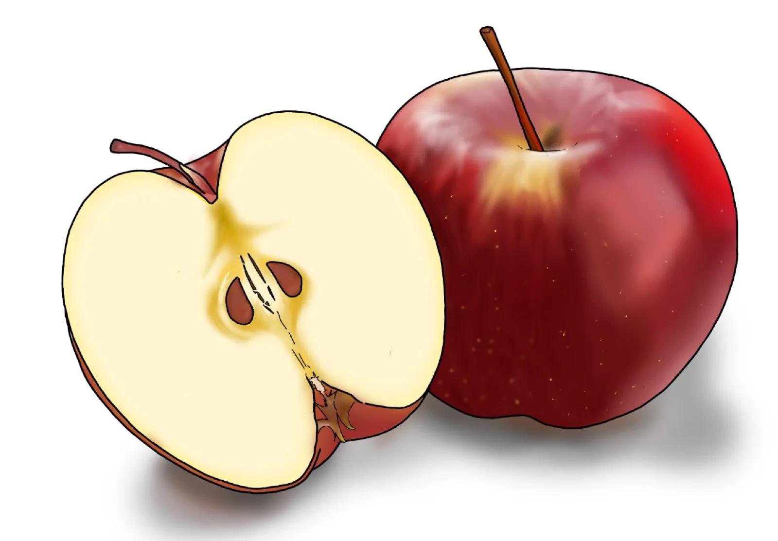 デジタルイラスト作品 1